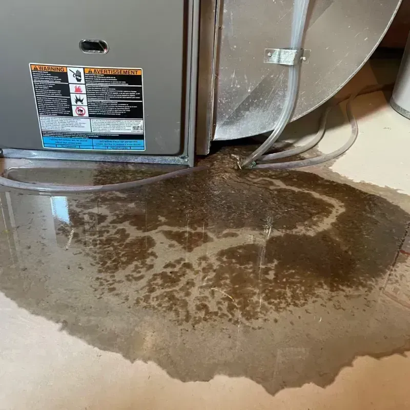 Appliance Leak Cleanup in Ocean County, NJ